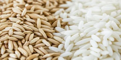 Illustration polishing - Image 1