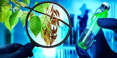 Illustration toxicology