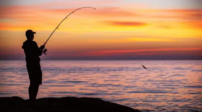 Illustration casts - Image 1