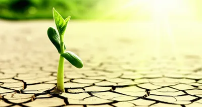 Illustration cures - Image 1