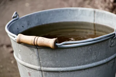 Illustration pail - Image 1