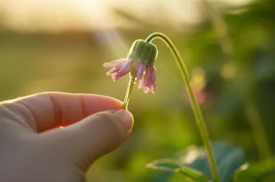 Illustration affecting - Image 1