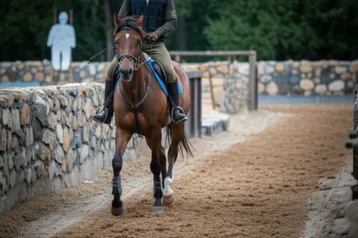 Illustration roughs - Image 1