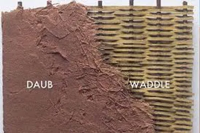 Illustration daub - Image 2