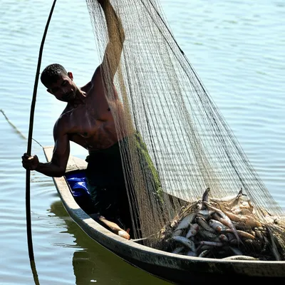 Illustration peak - Image 1