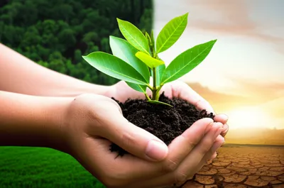 Illustration green - Image 1