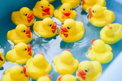 Illustration variants