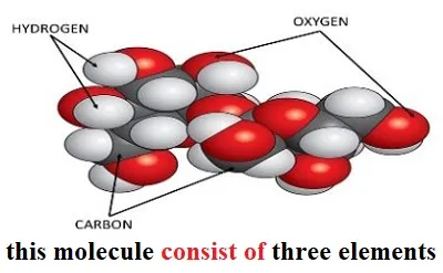 Illustration consist - Image 2