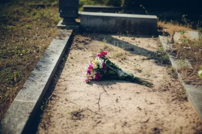 Illustration decedent - Image 1