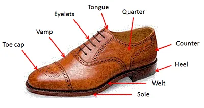 Illustration welt - Image 2