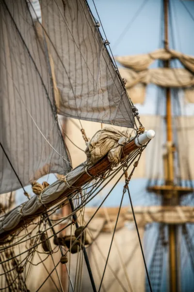 Illustration bunt - Image 1