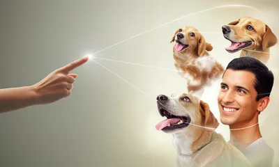 Illustration wat - Image 1