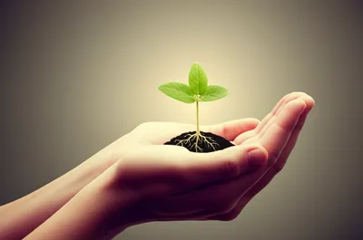 Illustration mother - Image 1