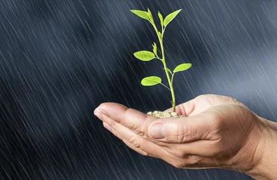 Illustration patronise