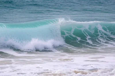 Illustration broke - Image 1