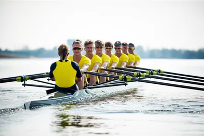 Illustration bow - Image 1