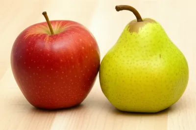 Illustration comparison