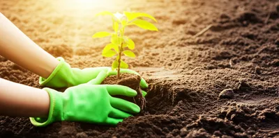 Illustration vest - Image 1