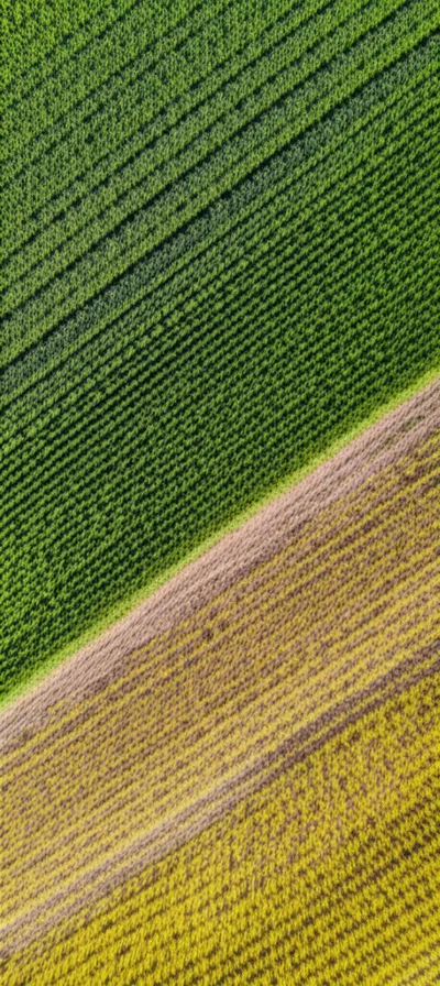 Illustration productivity - Image 1