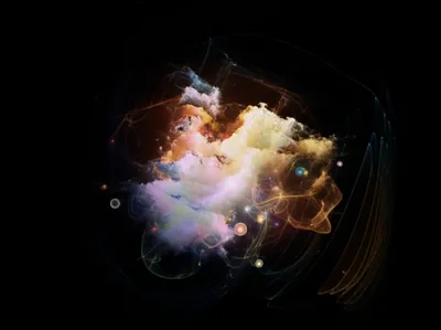 Illustration exotics - Image 1