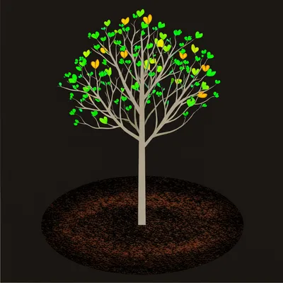 Illustration enriches - Image 1