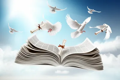 Illustration gazetted - Image 1