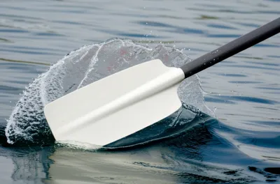 Illustration wash - Image 1