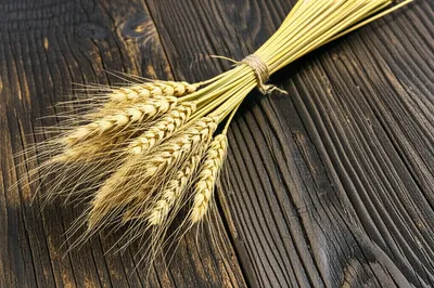 Illustration bundled