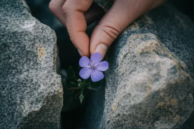 Illustration interposing