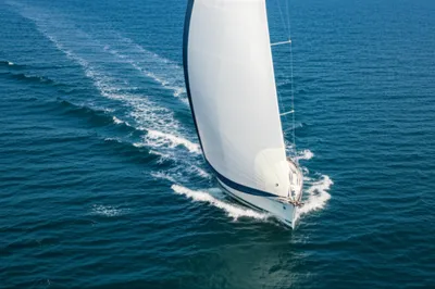 Illustration enlarges - Image 1