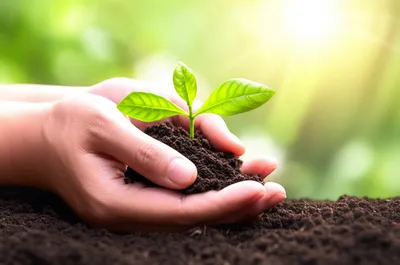 Illustration heal - Image 1