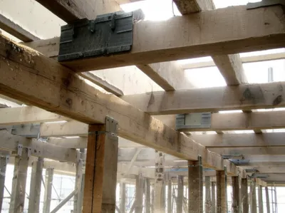 Illustration shores - Image 1