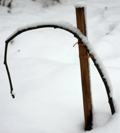 Illustration stanch - Image 1