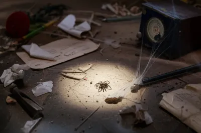 Illustration trite - Image 1