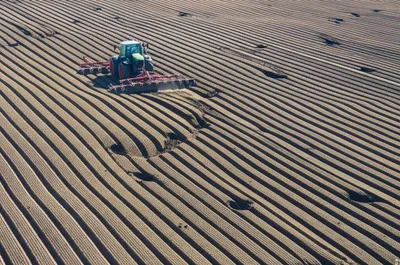 Illustration ripping - Image 1