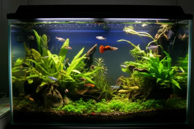 Illustration piscinas - Image 1