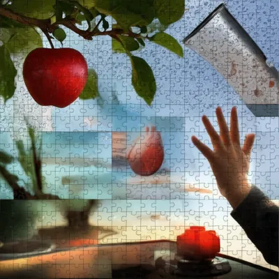 Illustration generalizations - Image 1