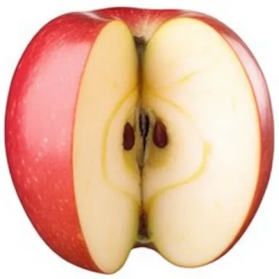 Illustration moiety - Image 1