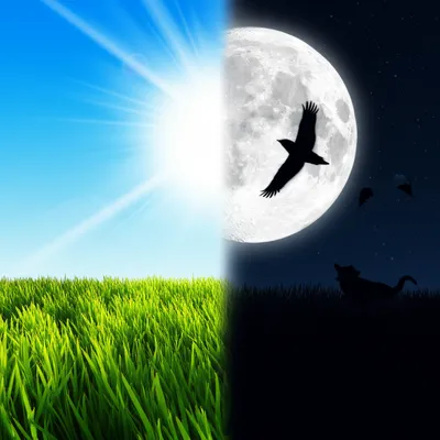 Illustration daily - Image 1