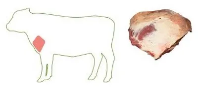 Illustration clod - Image 2