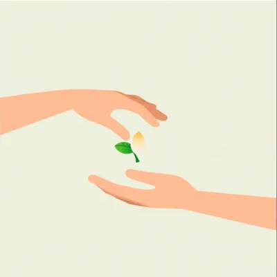 Illustration assumption