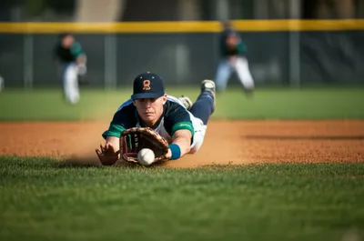 Illustration fielding - Image 1