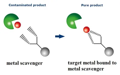 Illustration scavenge - Image 2