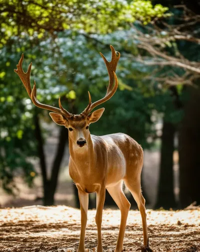 Hình ảnh minh họa threes - Ảnh 1