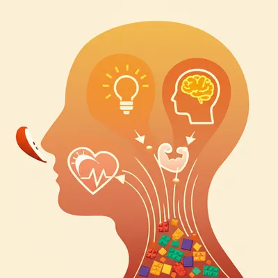 Illustration metabolize