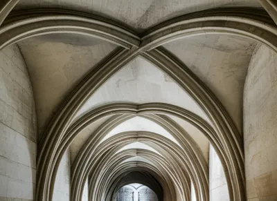 Illustration vault - Image 1