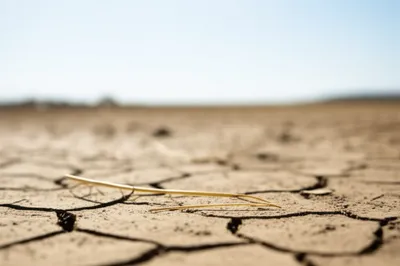 Illustration rushes - Image 1