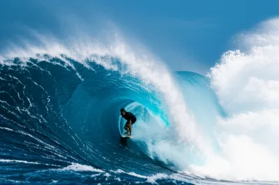 Illustration ripper - Image 1