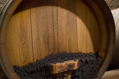 Illustration lee - Image 1