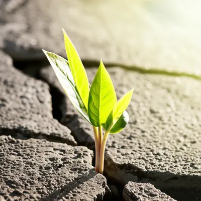 Illustration improves - Image 1